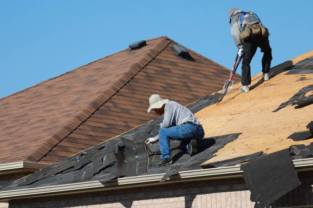 Best Roof Ventilation Installation  in Kennesaw, GA